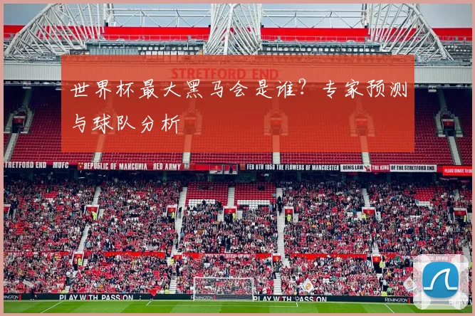 世界杯最大黑马会是谁？专家预测与球队分析