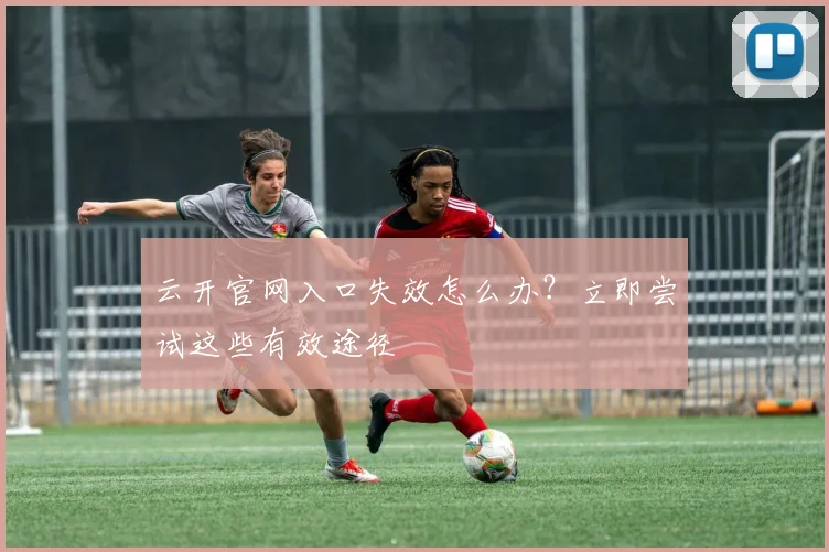云开官网入口失效怎么办？立即尝试这些有效途径